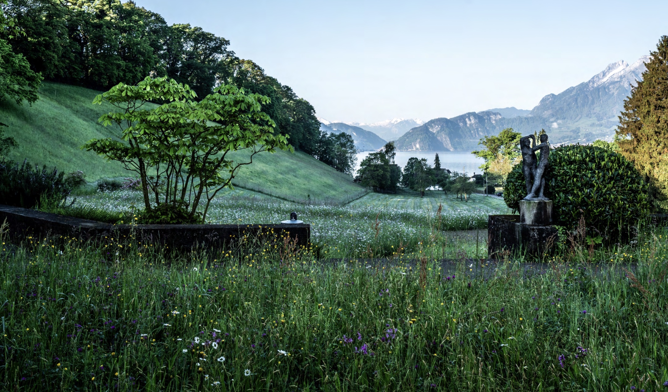 Garden with lake view