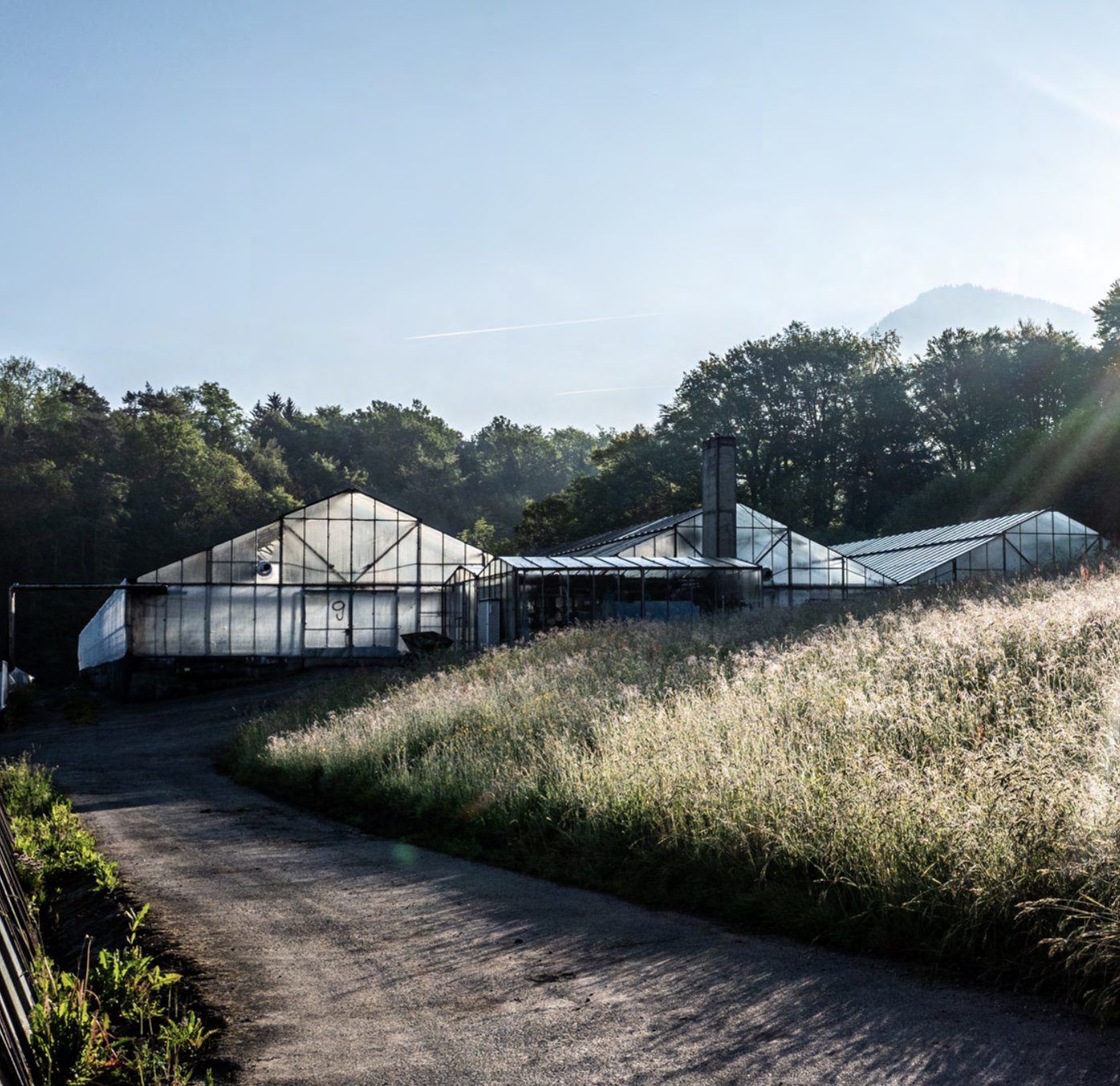 Greenhouses