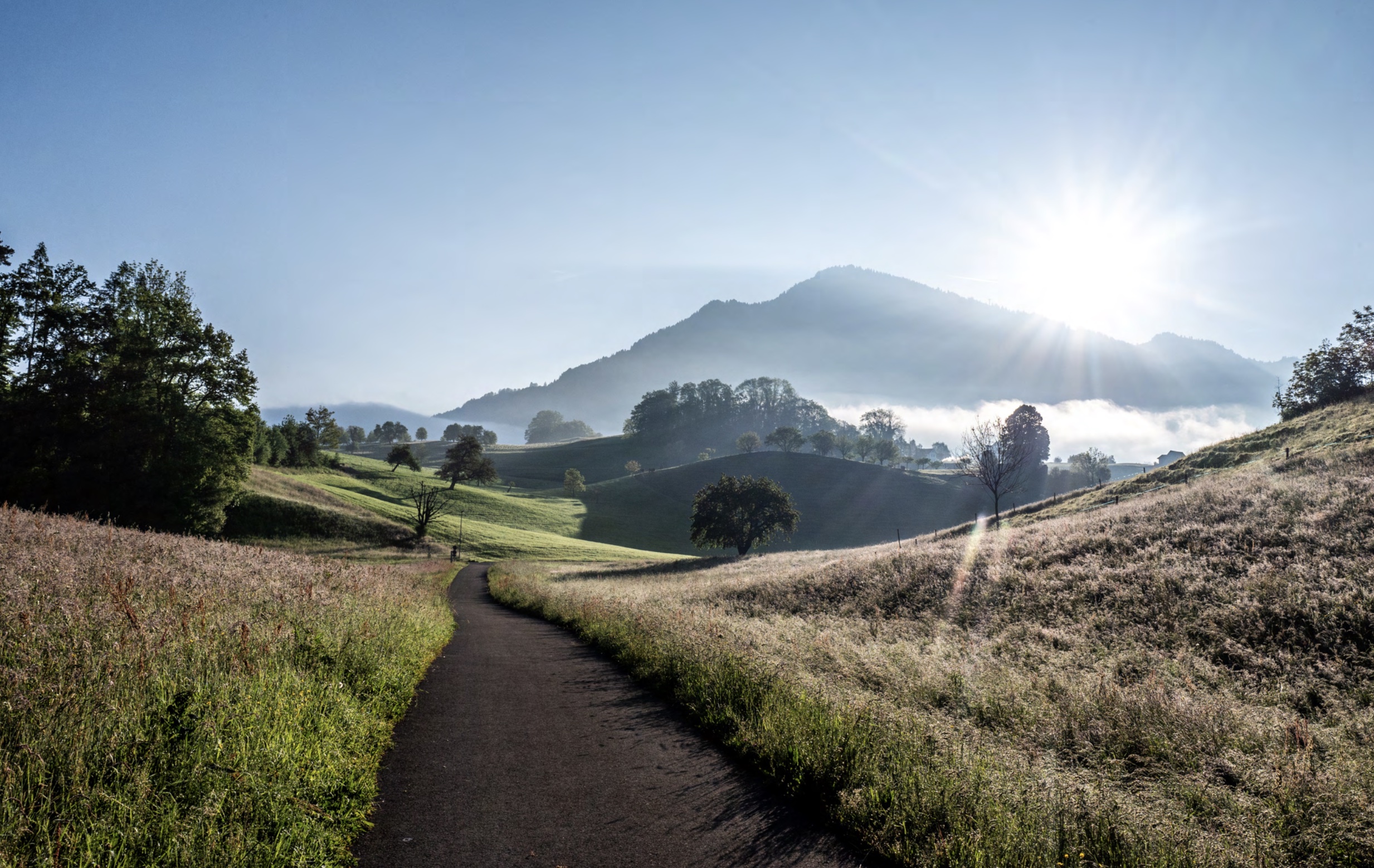 Morning landscape path